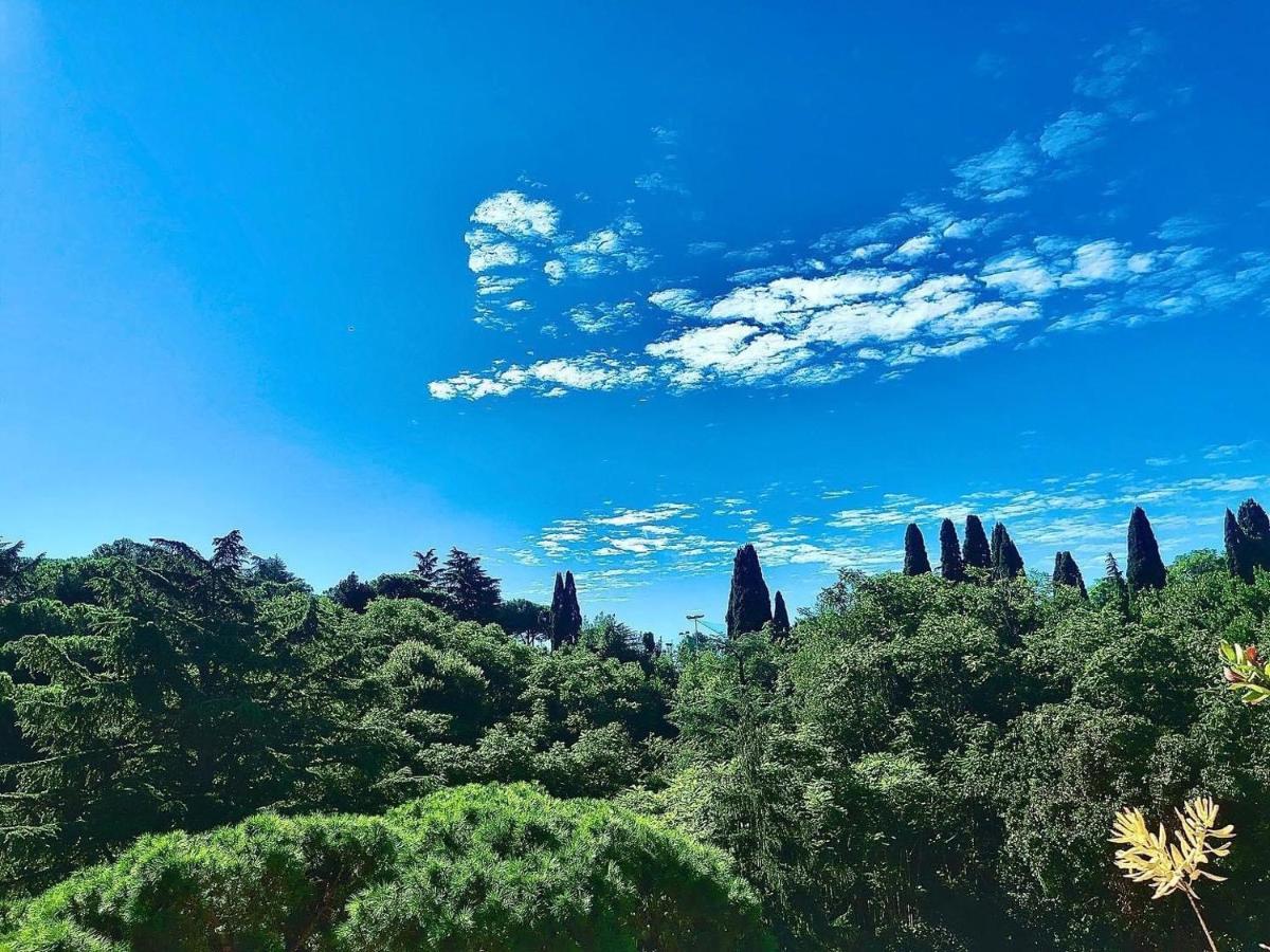 Happy Holiday In Rome B&B المظهر الخارجي الصورة