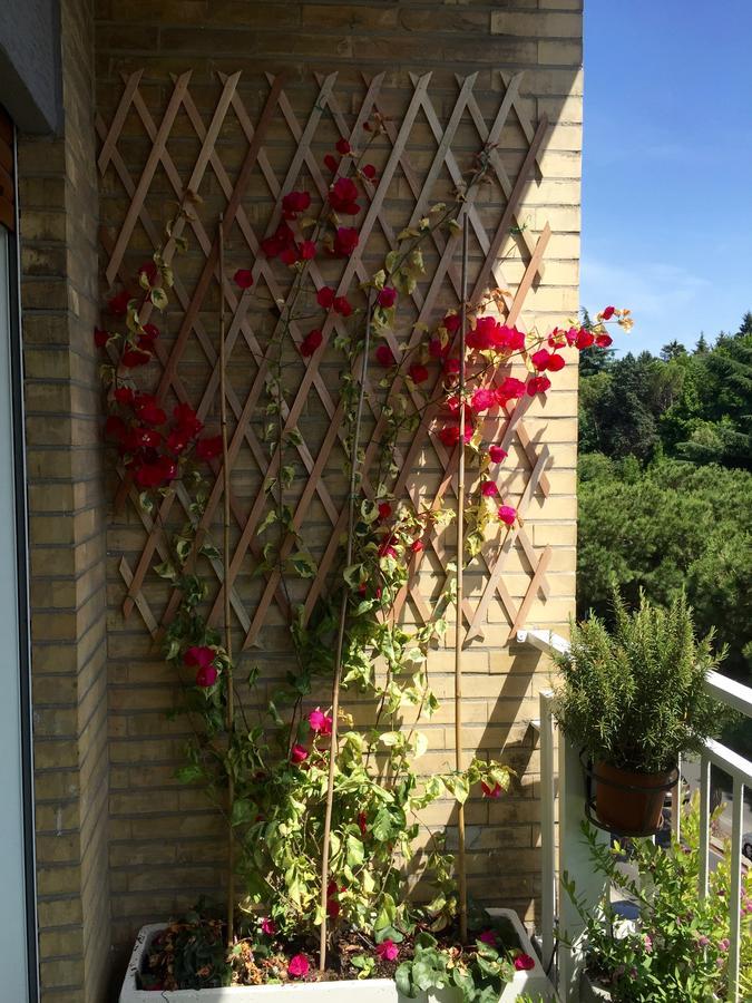 Happy Holiday In Rome B&B المظهر الخارجي الصورة
