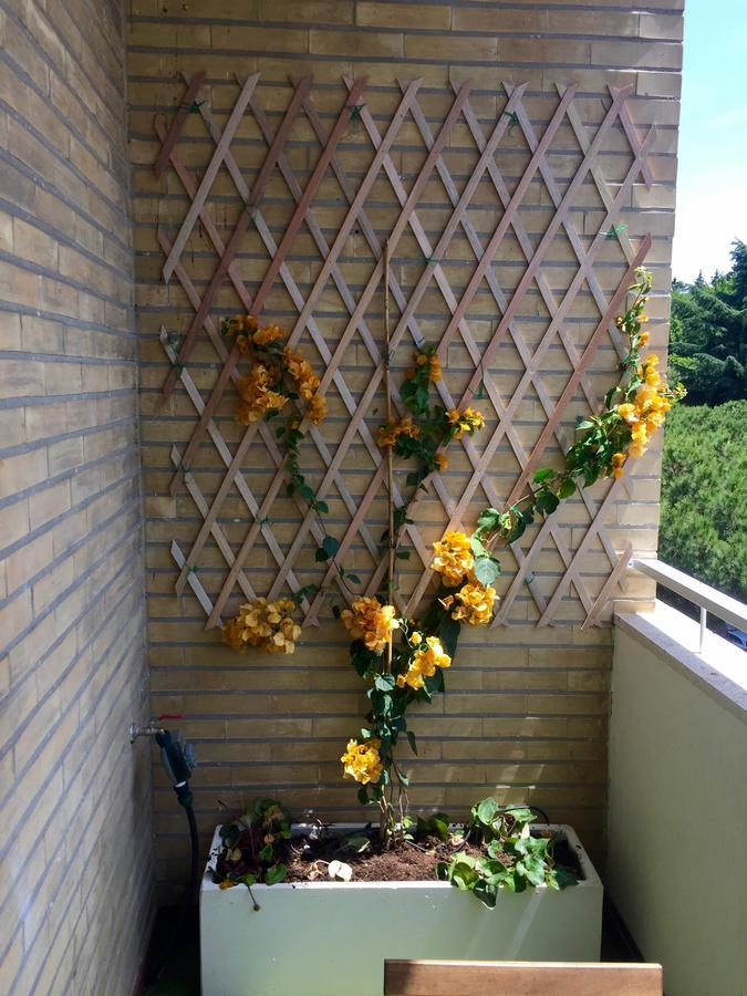 Happy Holiday In Rome B&B المظهر الخارجي الصورة